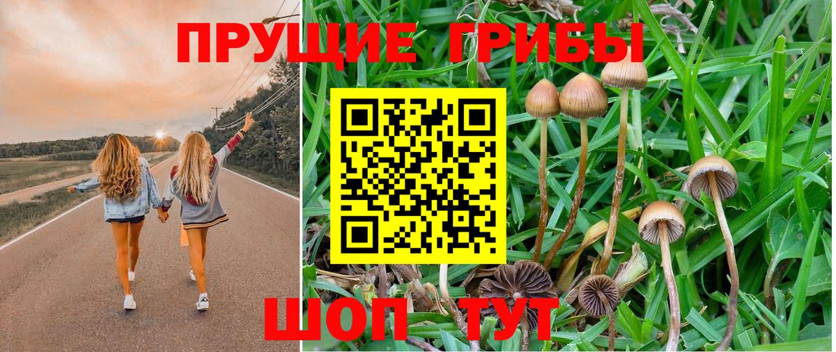 Псилоцибиновые грибы прущие грибы Нарткала