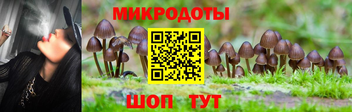 Галлюциногенные грибы Psilocybe  Вход с VPN  Нарткала 
