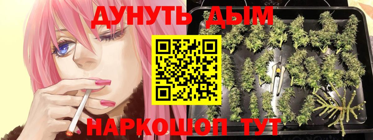 Канабис индика Нарткала